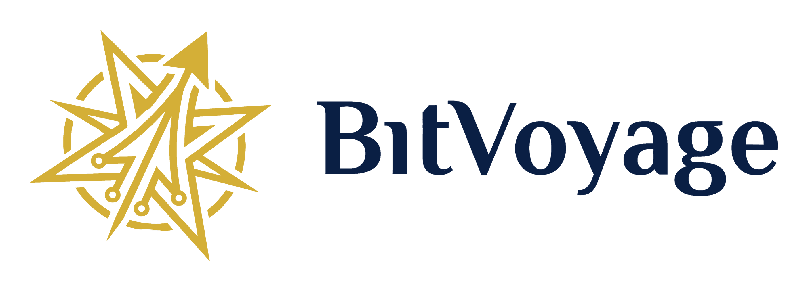 BitVoyage — global AI, Data & Cloud transformation partner